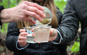 Salmon in the Classroom